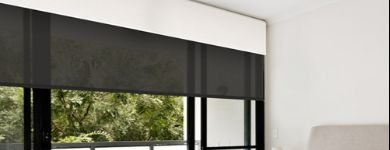Customized Sunscreen Roller Blinds Style