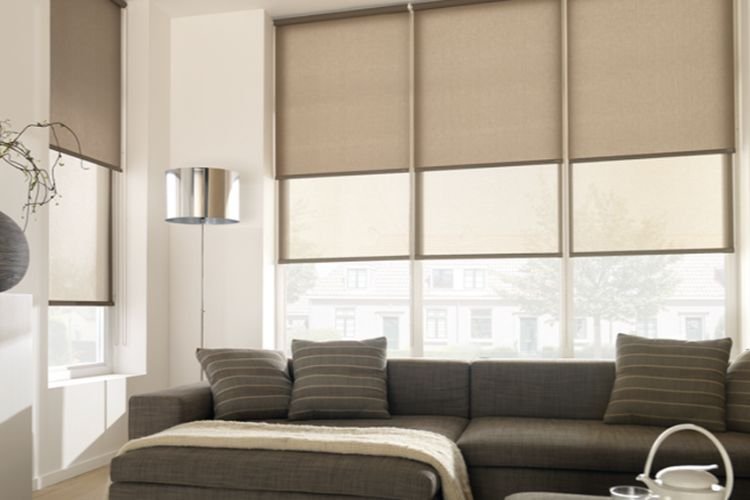 Trendy Sunscreen Blinds Collection
