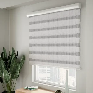 CS Zebra Blinds Silver