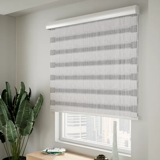 CS Zebra Blinds Silver