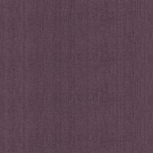 Lewry-Grape-i8