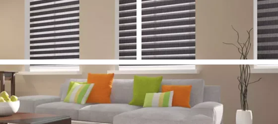 Living Room Zebra Blinds