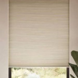 Motorized Blinds 2