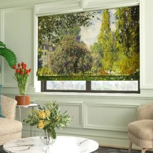 Multi Color Roman Blinds