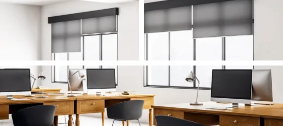 Office Window Blinds