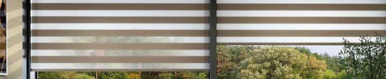 Premium Window Zebra Blinds
