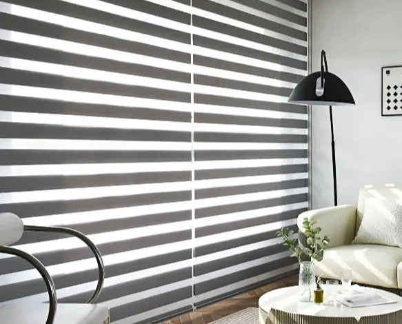 Premium Zabera Blinds