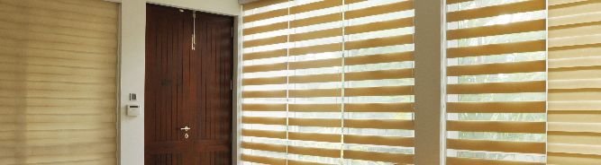 Stylish Zebra Blinds