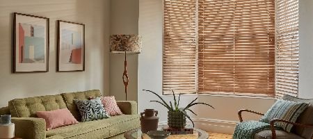 Venetian Blinds in Living Room