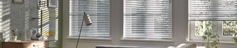 White Venetian Blinds