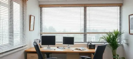 Workplace Office Blinds