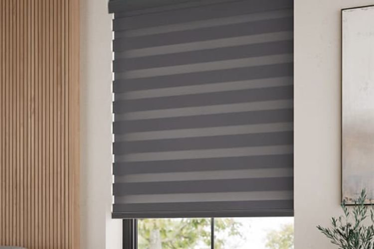 Zebra Blinds 3