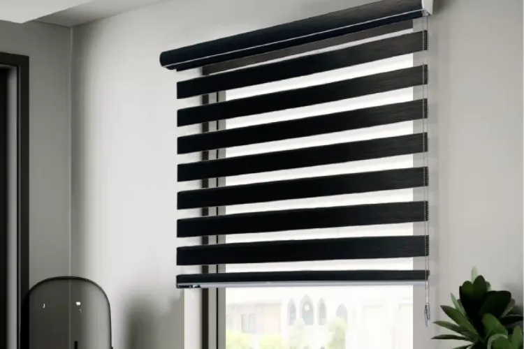 Zebra Blinds 4