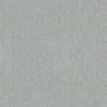 (408037) AY
