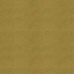 M1119-AY