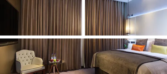Most Popular Silk Curtain